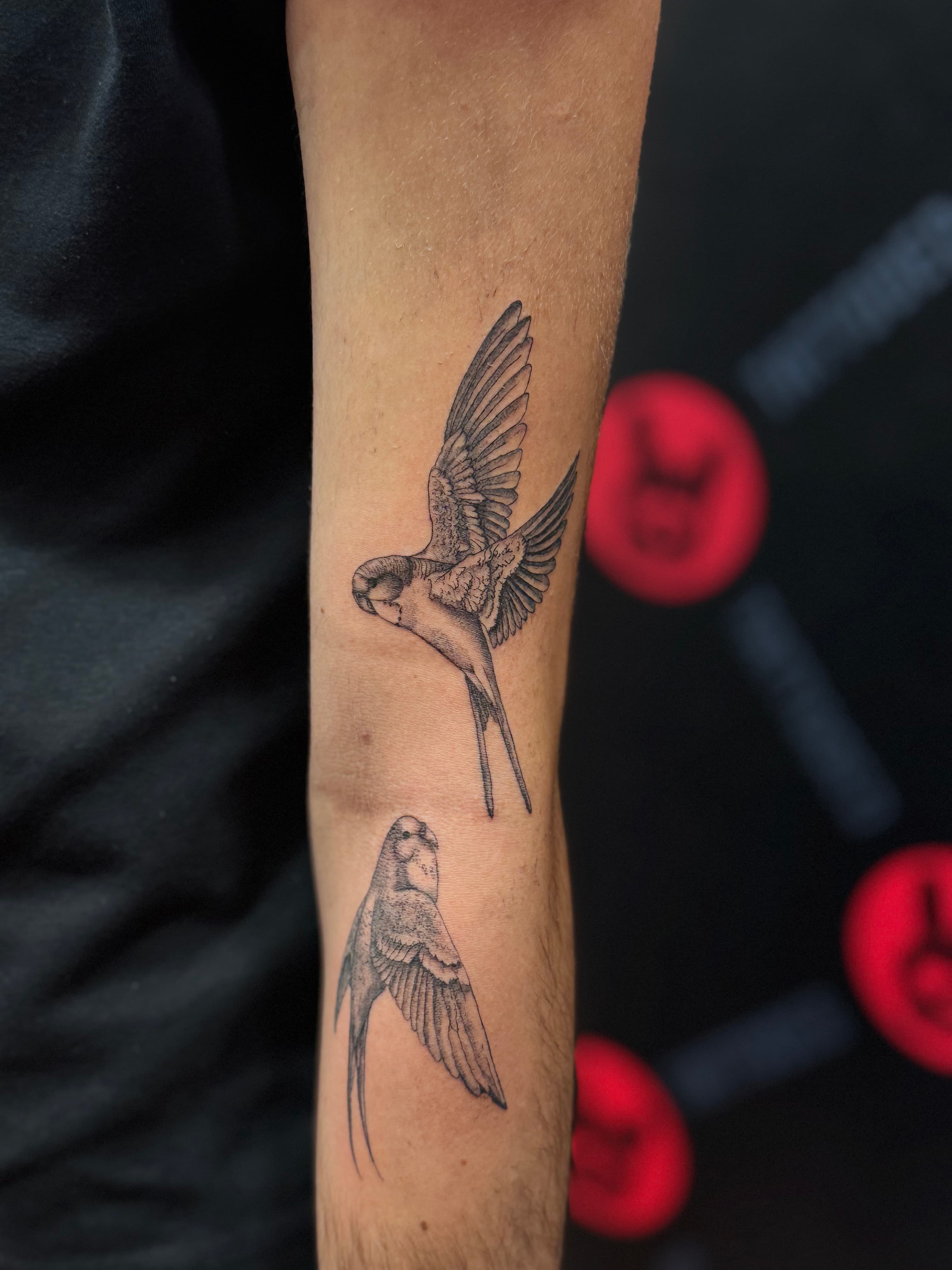 Tattoo Studio TATTOOED